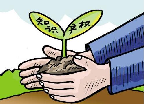 温州举办全市知识产权工作交流会