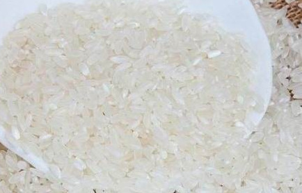 广东好大米十大品牌出炉 云浮、江门等市获评好大米特色产区