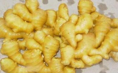 唐山商标注册代理公司喜报：丰润生姜成功注册地理标志证明商标