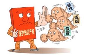 信阳市成立保护知识产权工作组