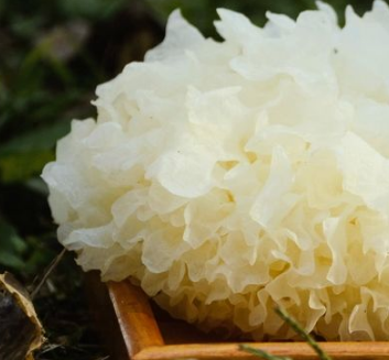 “通江银耳及图”商标荣获中国驰名商标