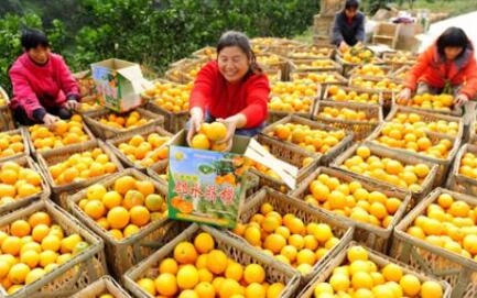 “邻水脐橙”荣获“中国驰名商标”称号