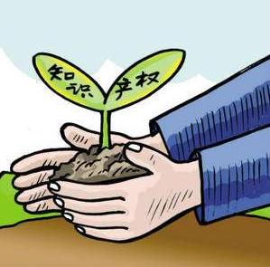 绥化市开展知识产权进企业宣传活动