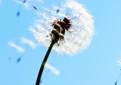 新商标法中，惩罚性赔偿制度的适用情形有哪些？