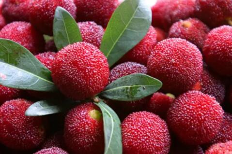 云南省共有中国驰名商标114件、省著名商标1979件