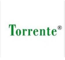 TORRENTE，让广告商标更前卫