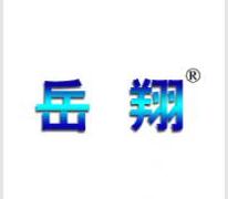 岳翔，让品牌飞跃翱翔