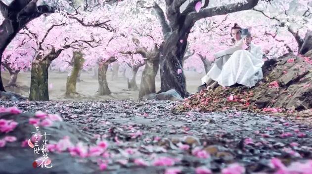 本周商标资讯直通车 本周商标资讯直通车