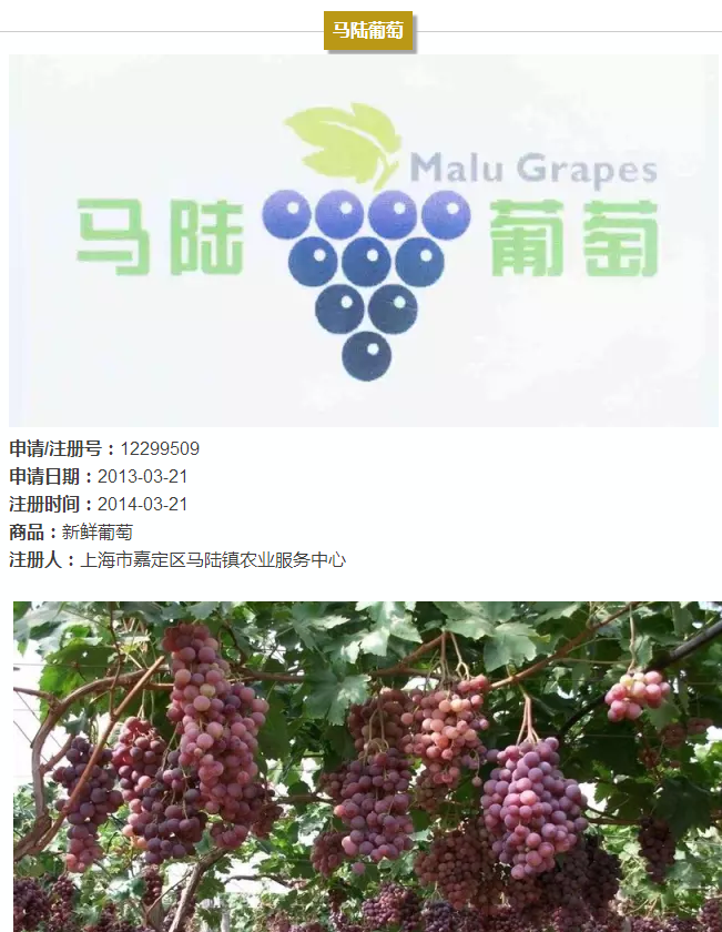 上海的13件地理标志证明商标，你都认识吗?