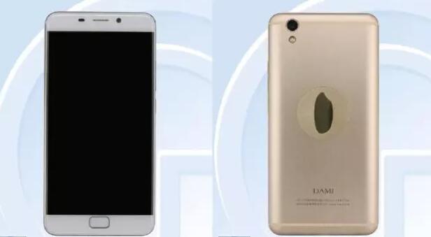 小米抢完抢大米，商标抢注何时才是个头？