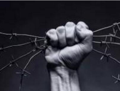 年利润200万 侵权只需赔10万“傍名牌”的罪与罚