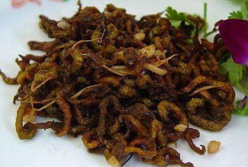 东莞麻涌村民发明养禾虫专利，年盛产2000多斤