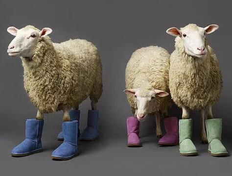 UGG商标争议再起，2016年赚了15.2亿美元