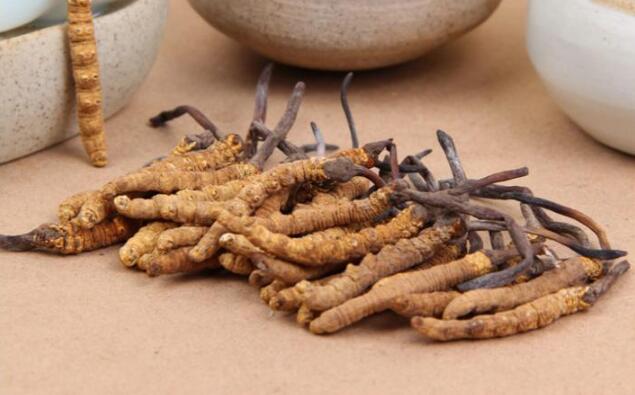 虫草商标属于第几类？