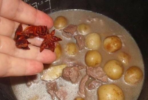 厉害啦!广西“上林八角”成地理标志证明商标