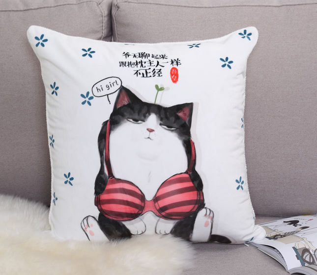 抱枕属于第几类商标