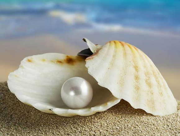 珍珠商标注册属于第几类