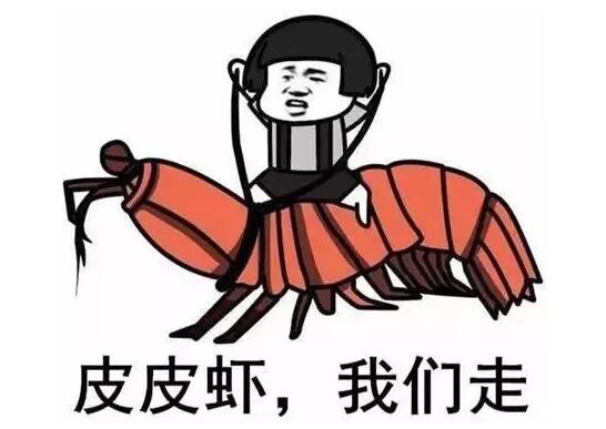 2017最火网络流行语freestyle、戏精、皮皮虾...都被