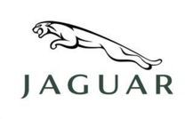 权威认定商标未构成近似 成都