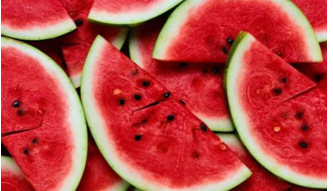 夏日西瓜圆滚滚 按图索骥去采摘 夏日西瓜圆滚滚 按图索骥去采摘