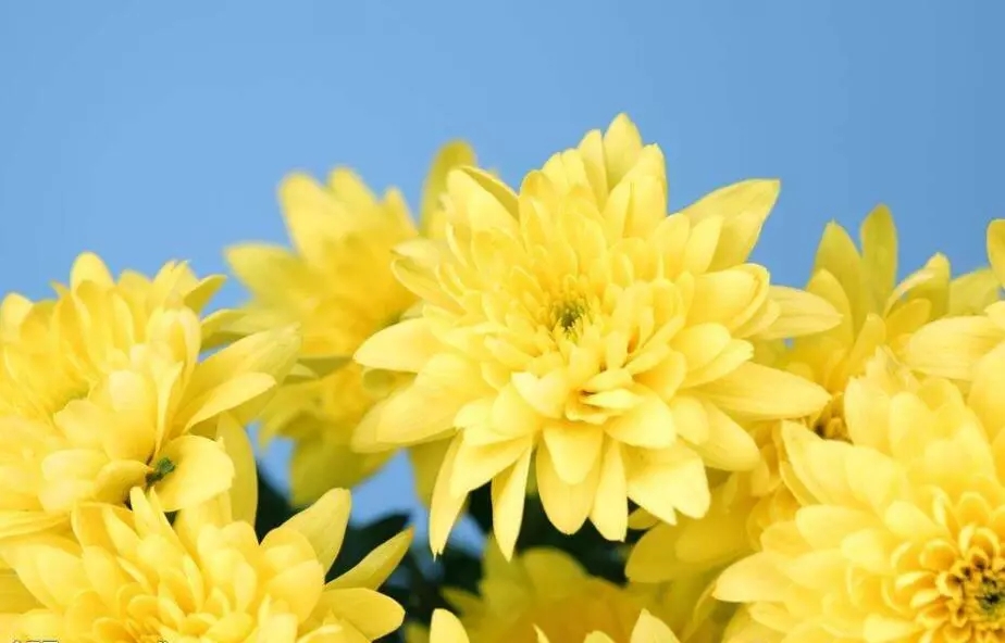 注意了!国外的商标可不是你想注册就能注册的! 注意了!国外的商标可不是你想注册就能注册的!