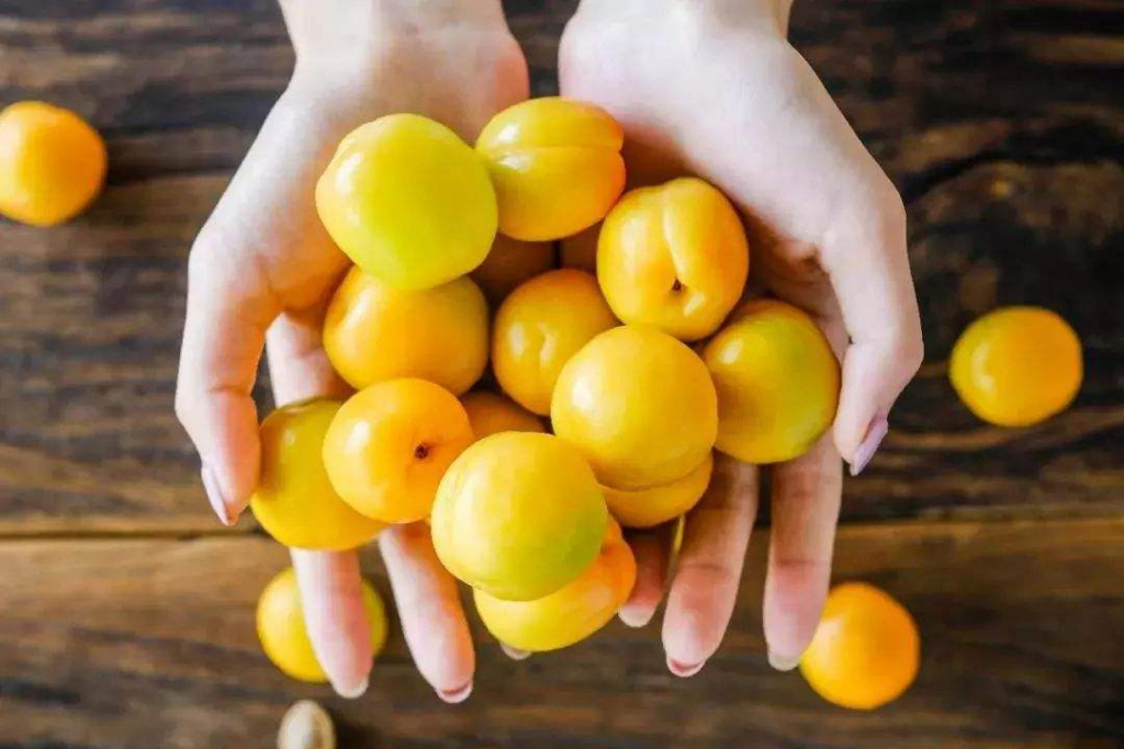 “敦煌李广杏”成功注册地理标志证明商标 “敦煌李广杏”成功注册地理标志证明商标