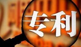 苹果诉佰利专利无效案 苹果诉佰利专利无效案