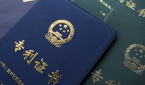 专利“临时保护”中“适当的费用”的确定 专利“临时保护”中“适当的费用”的确定