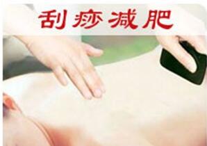 减肥瘦身十大品牌商标图案大全赏析 减肥瘦身十大品牌商标图案大全赏析