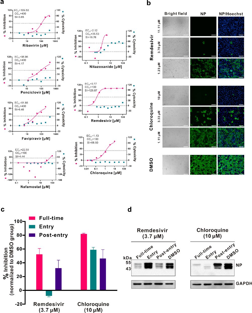 武汉病毒所“抢注”专利：疫情下的“非常规操作” ？